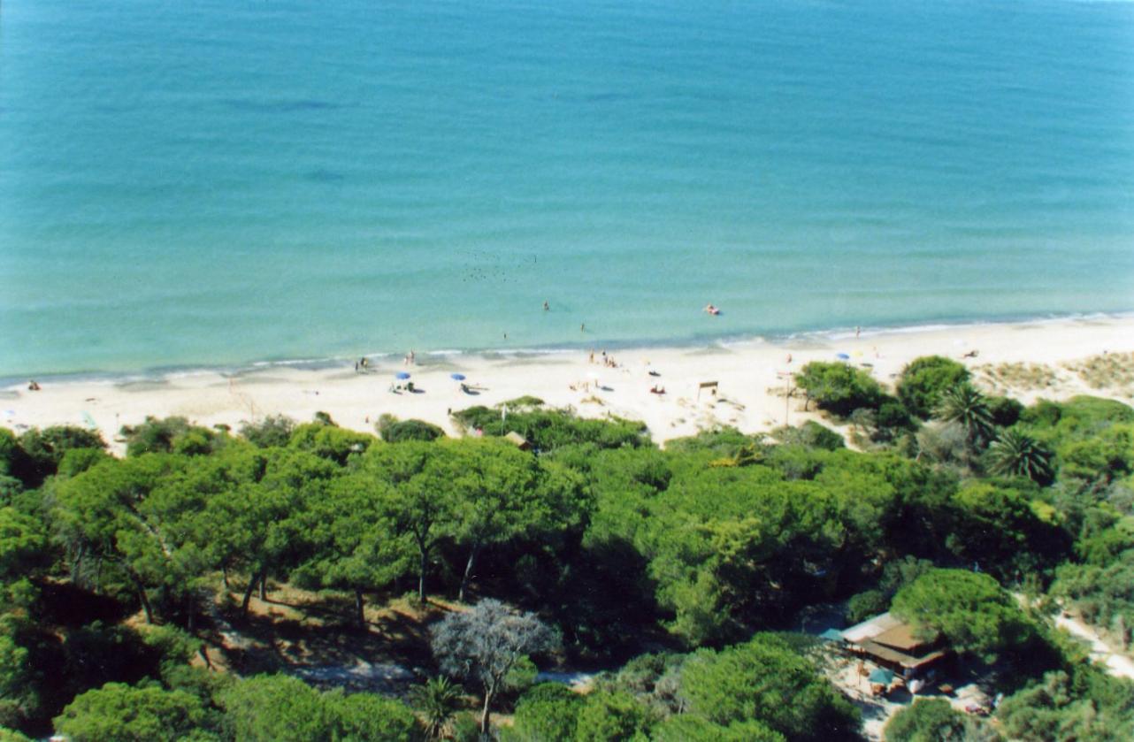 Villaggio Turistico Airone Riotorto Extérieur photo